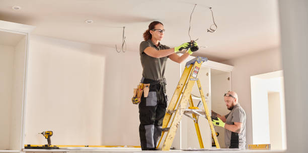 Best Electrician for Home Renovation  in Lake Holiday, IL