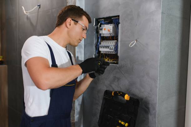 Best Electrician for Home Renovation  in Lake Holiday, IL