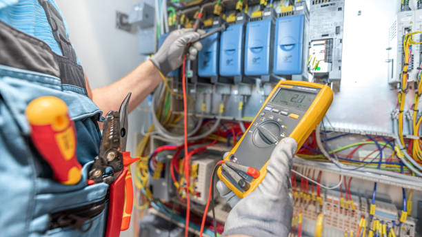 Best Home Electrical Repair  in Lake Holiday, IL