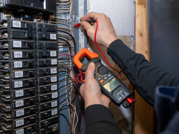 Best Electrical Wiring Services  in Lake Holiday, IL